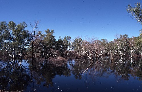 Fortescue River